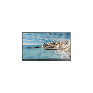 Hikvision DS-D6022FN-B SP 21.5" monitorius