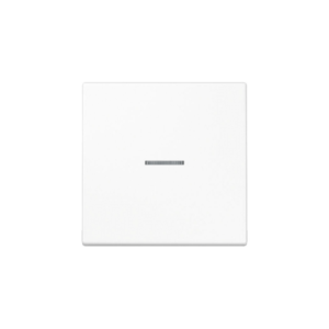 1 kl. apdaila su indikatoriumi LS990 JUNG LS990KO5WW (balta)