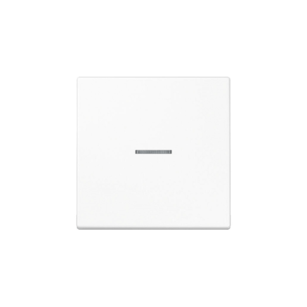 1 kl. apdaila su indikatoriumi LS990 JUNG LS990KO5WW (balta) 1 kl. apdaila su indikatoriumi LS990 JUNG LS990KO5WW (balta)