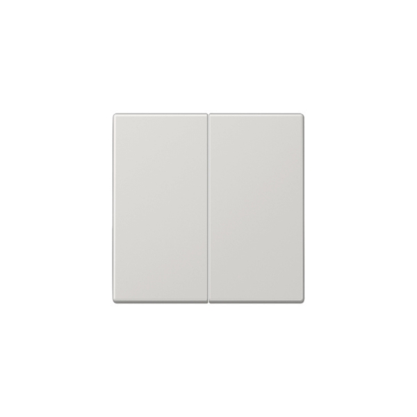 2 kl. apdaila LS990 JUNG LS995SW (pilka)