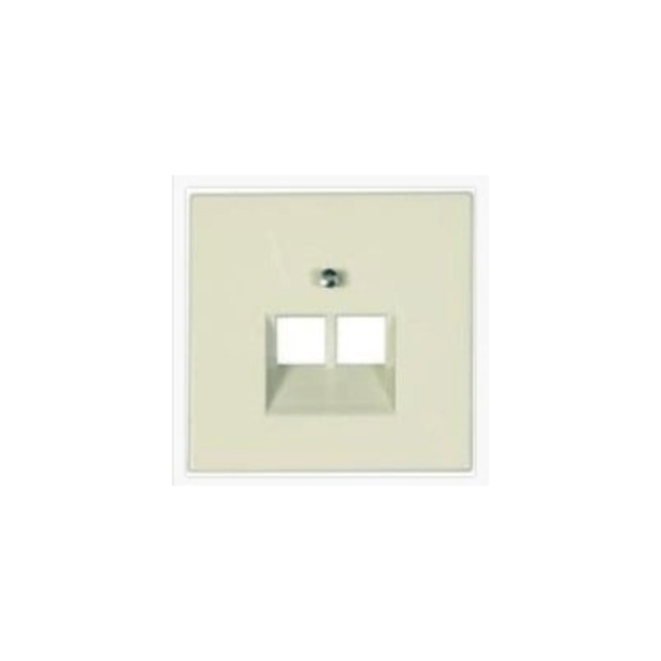 Kompiuterinio lizdo apdaila JUNG LS969-2UA (dramblio kaulo, 2xRJ45)