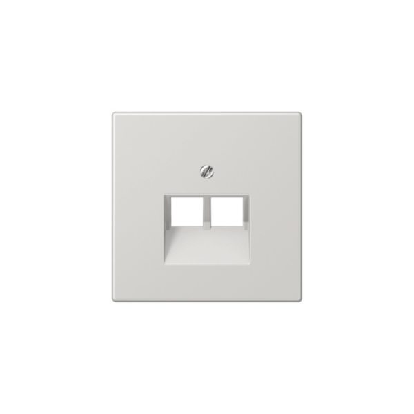 Kompiuterinio lizdo apdaila JUNG LS969-2UALG (pilka, 2xRJ45)