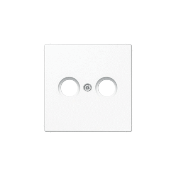TVR antenos lizdo mechanizmo apdaila LS990 JUNG LS990TVWW (balta) TV/R antenos lizdo / mechanizmo apdaila LS990 JUNG LS990TVWW (balta)